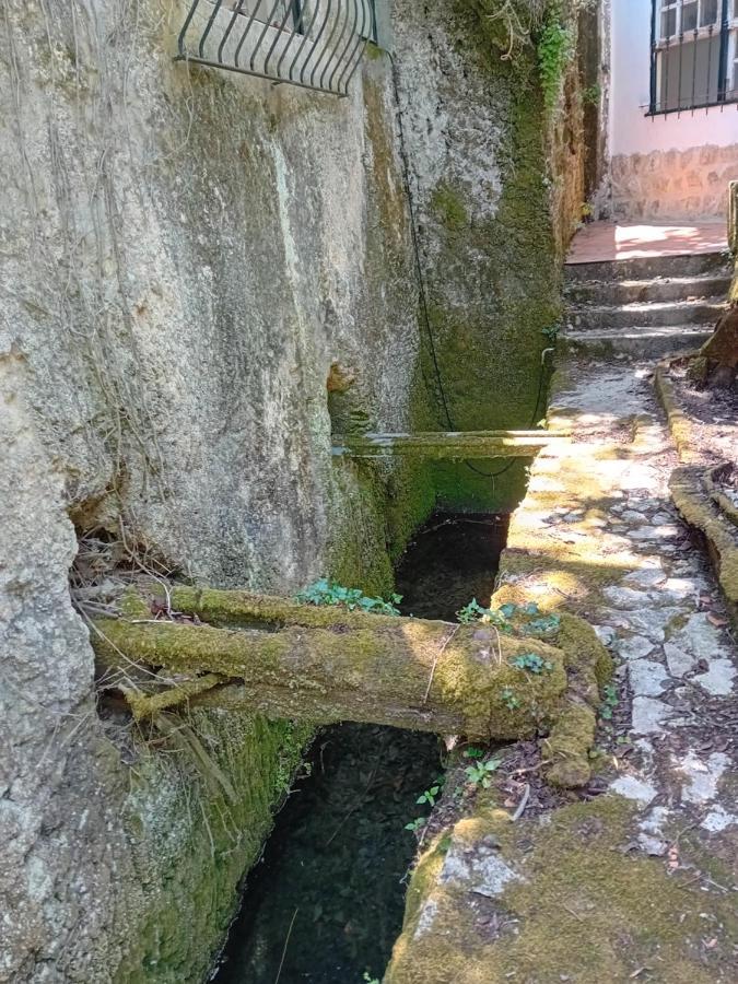 Retiro D'Azenha Villa Almoster Buitenkant foto
